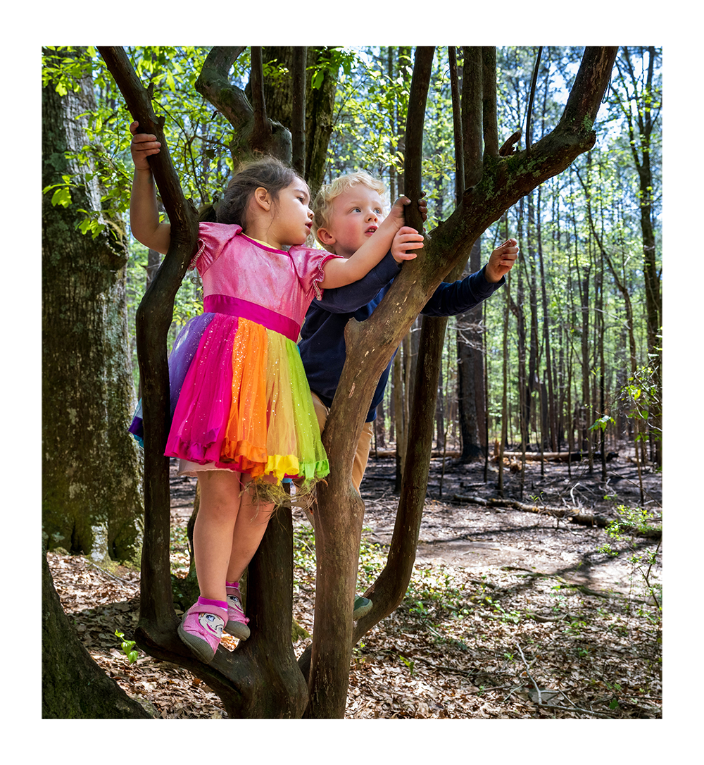 Two children dressed in colorful garments climb in a tree.