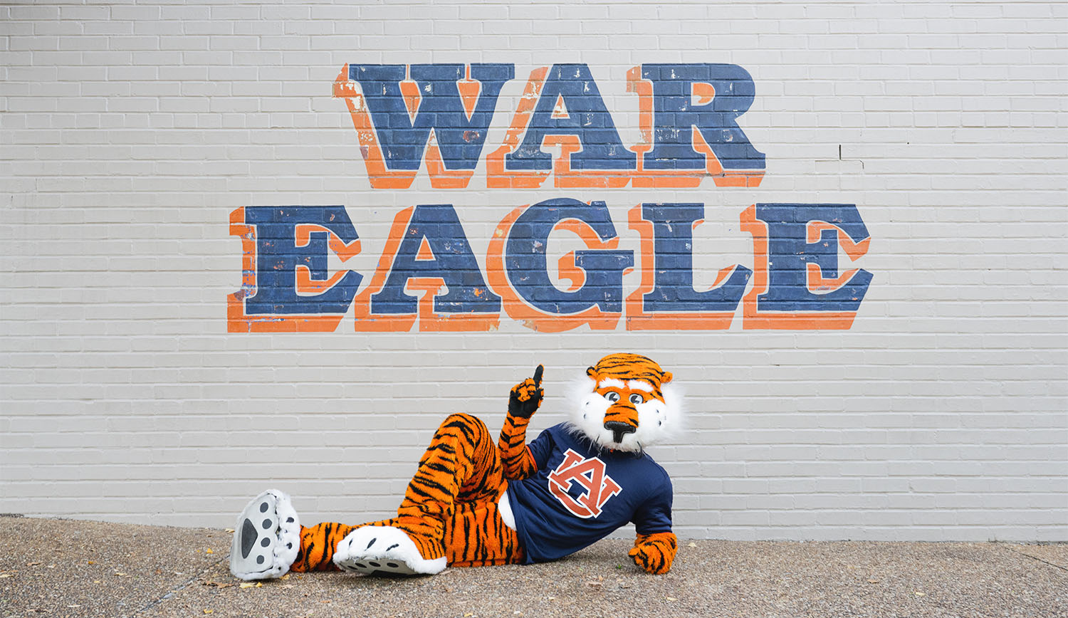 Aubie the Tiger lays in front of a wall with the words War Eagle painted on it