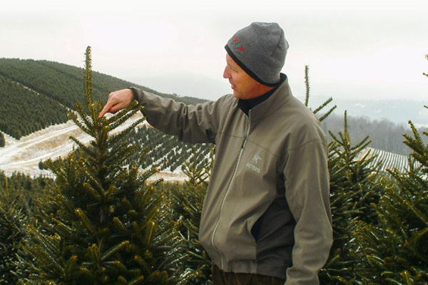 Farmer stands in front of Christmas tree