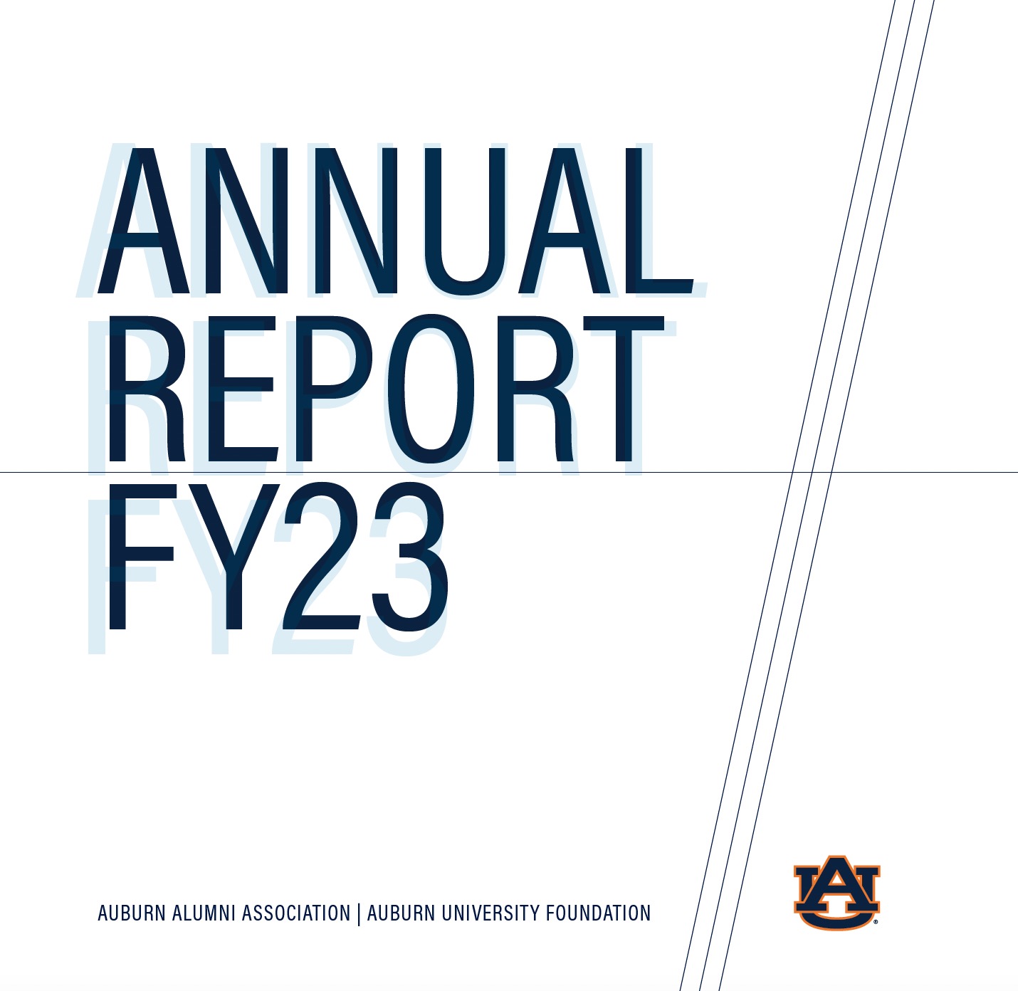 Annual Report Header